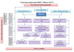 Структура управления МБОУ "Школа №117"